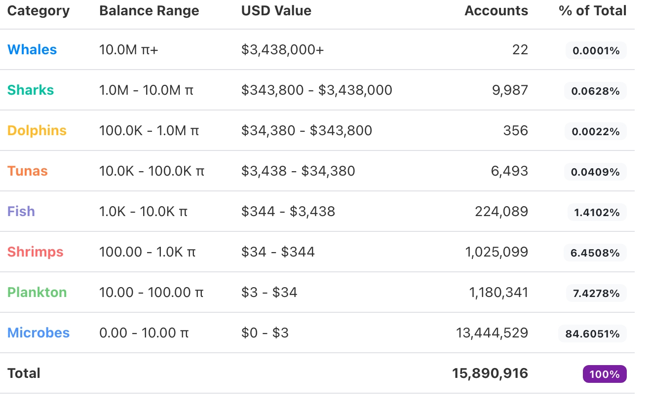 Pi Network token holders